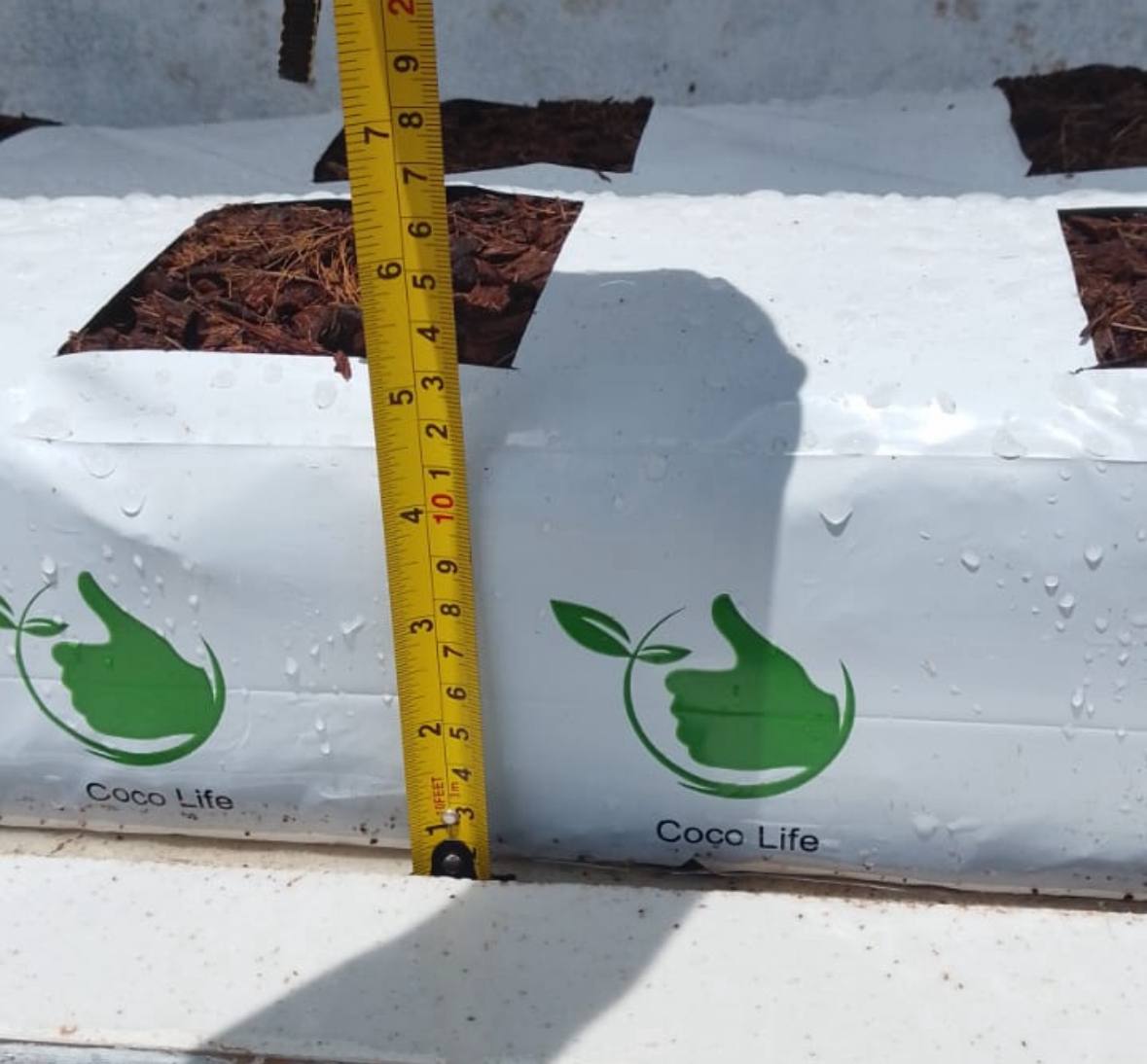 Cocopeats